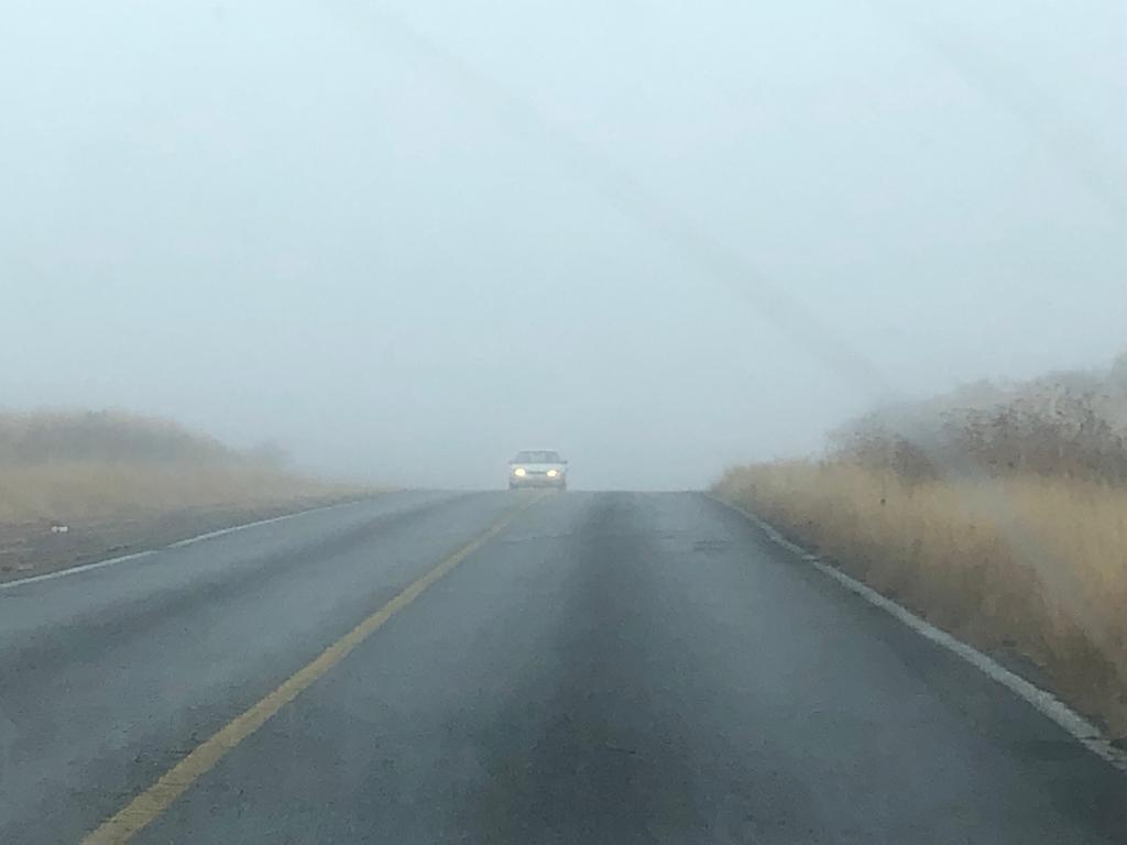 Viaje entre la niebla