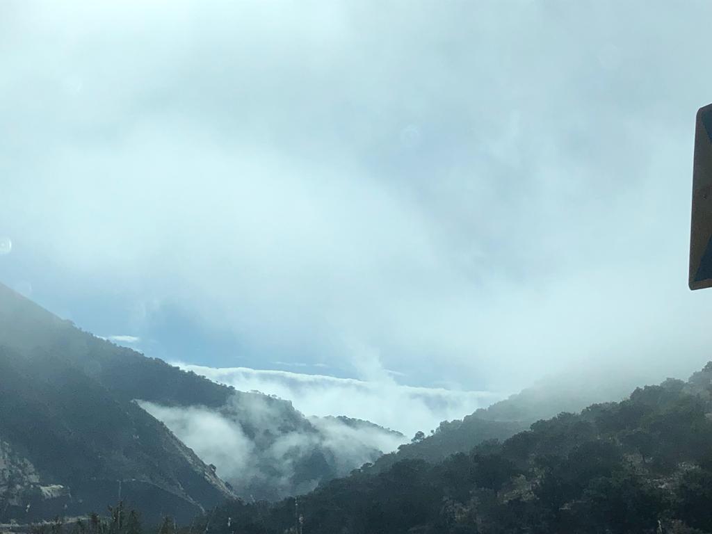 Invierno en la sierra madre occidental