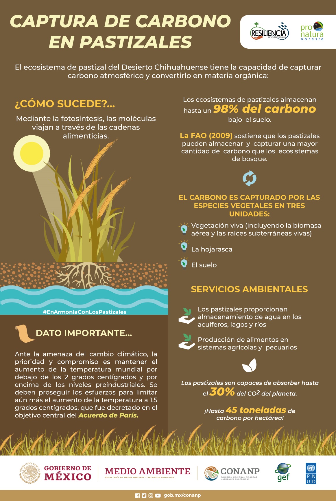 Restauran pastizales para enfrentar cambio climático en la Reserva de la Biósfera Mapimí