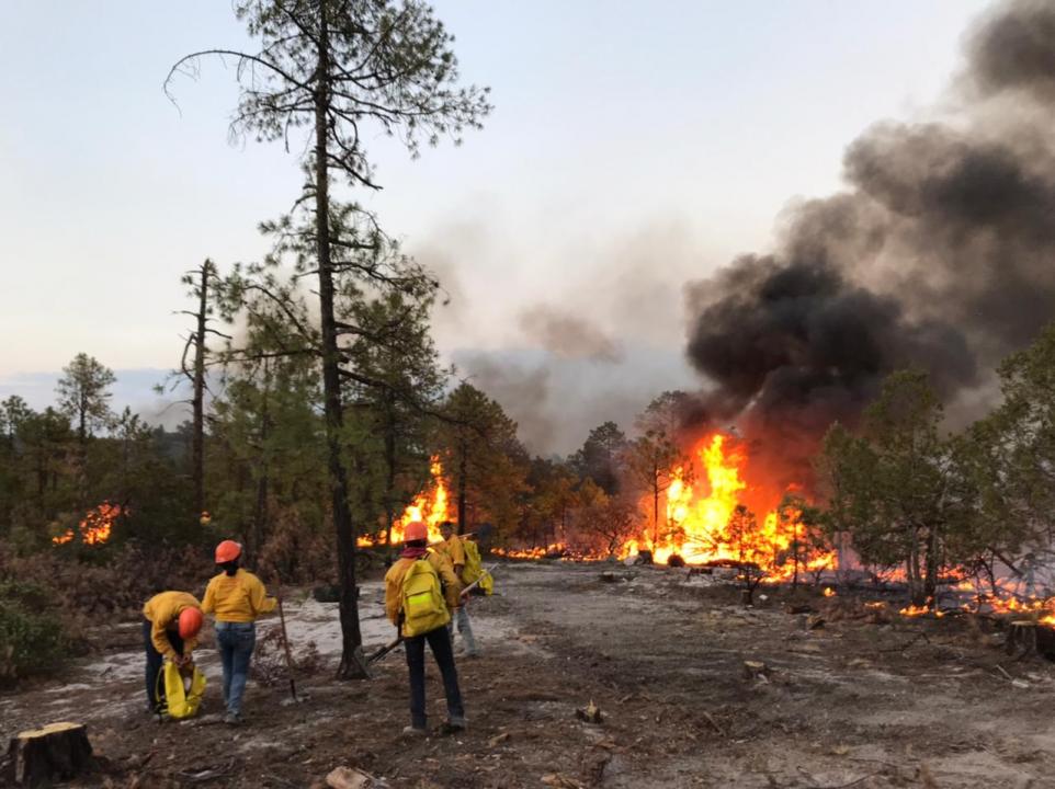 Chihuahua cerrará el 2022 en el Top 5 de incendios forestales