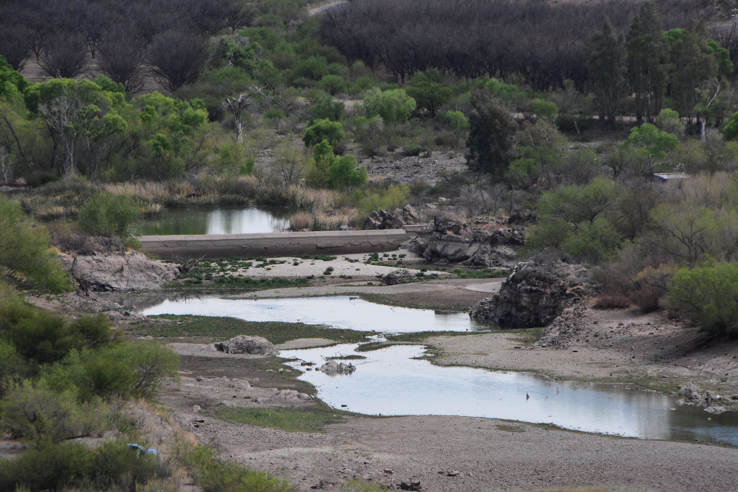 Del Rubber Dam a la tragedia