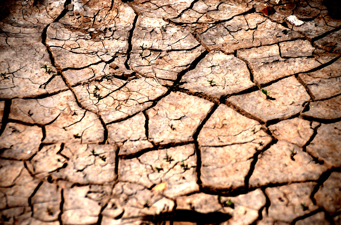 Desertificación, el enemigo silencioso