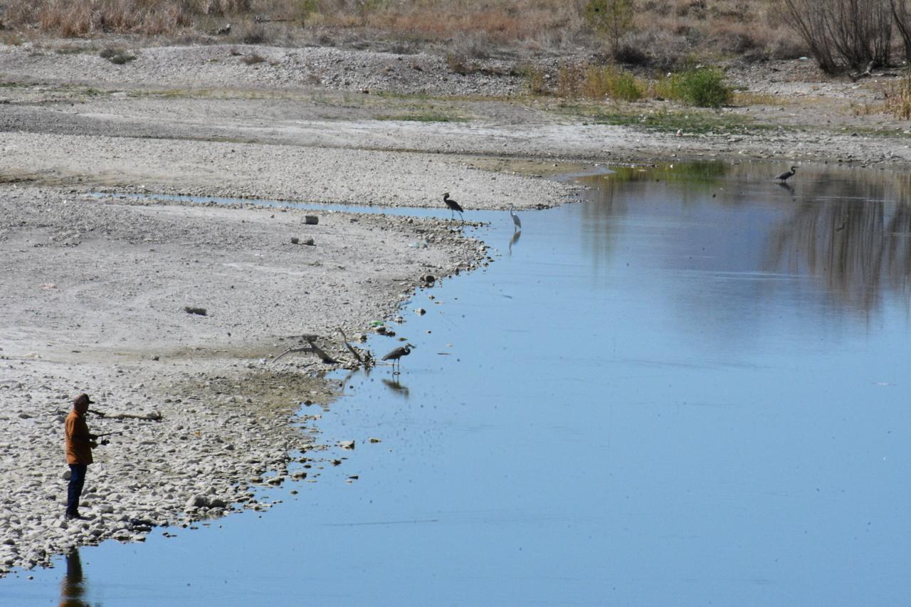 El futuro será devastador